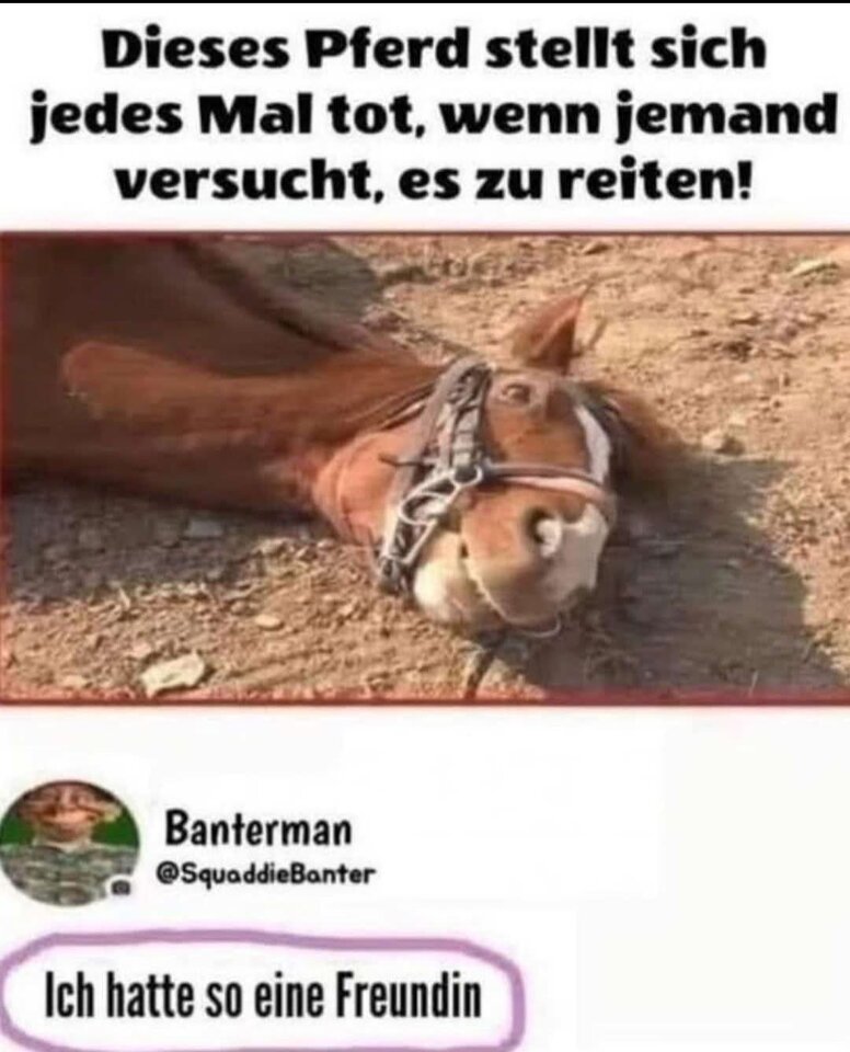 1757147769980.jpeg