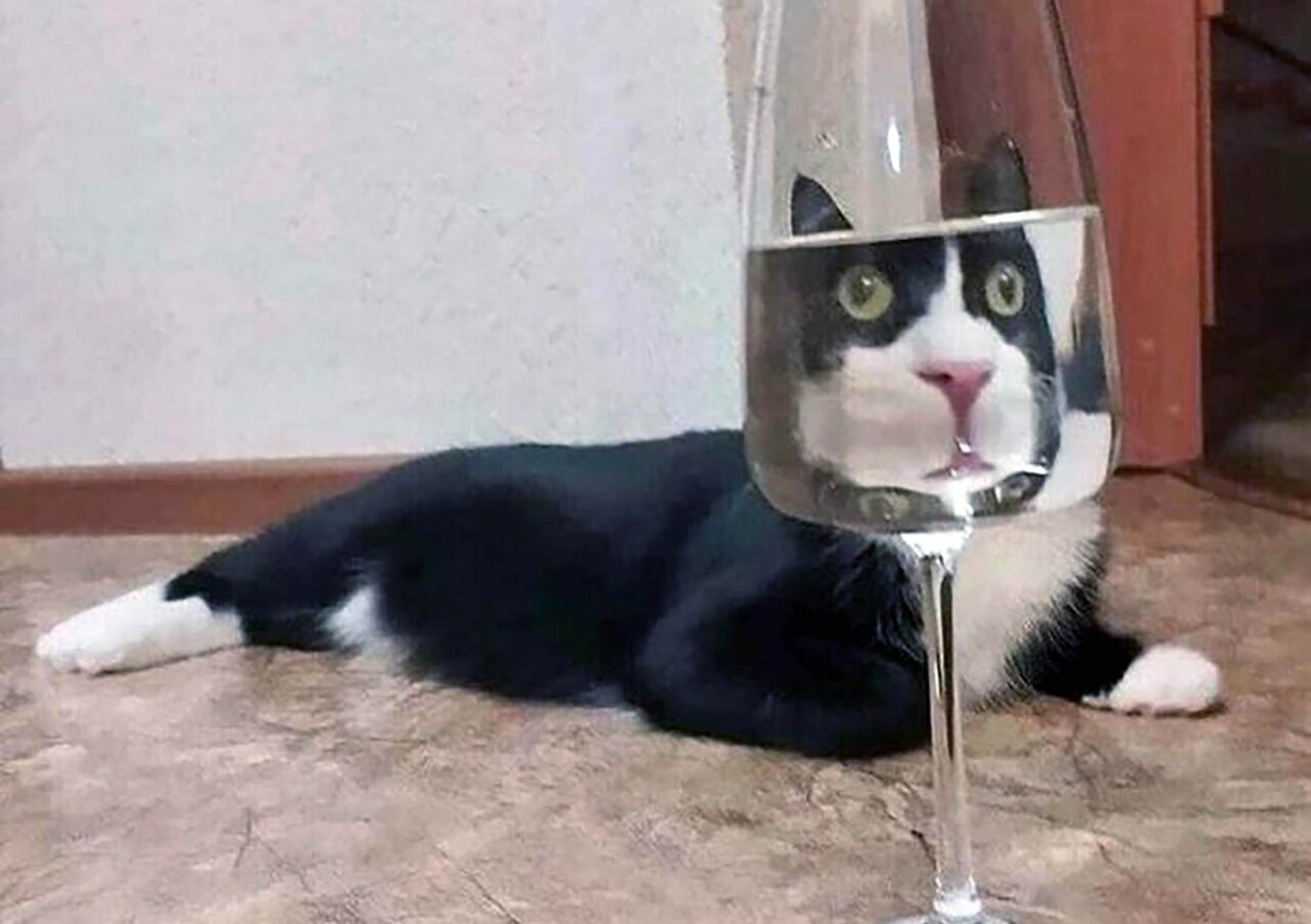 1757456079625.jpeg