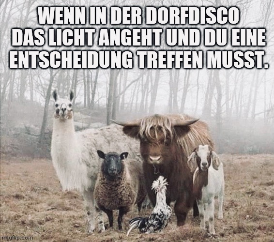1757626247980.jpeg