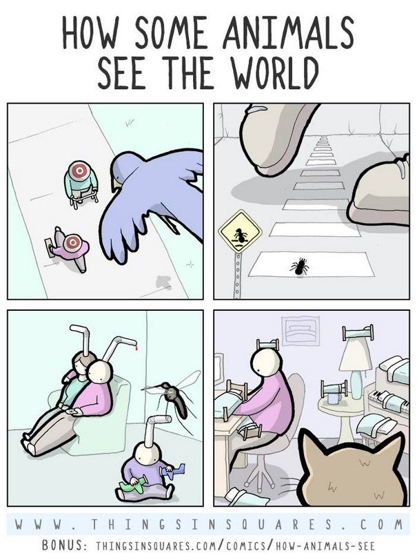 1757718893995.jpeg