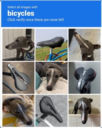 1758754341455.jpeg