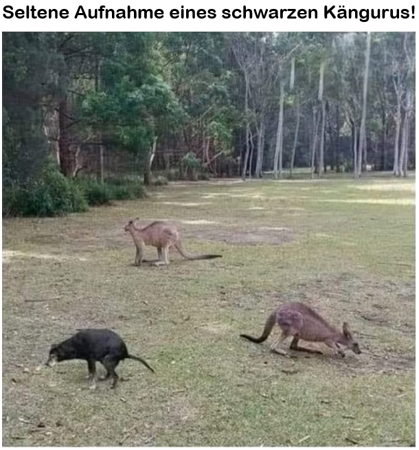 1758762292354.png