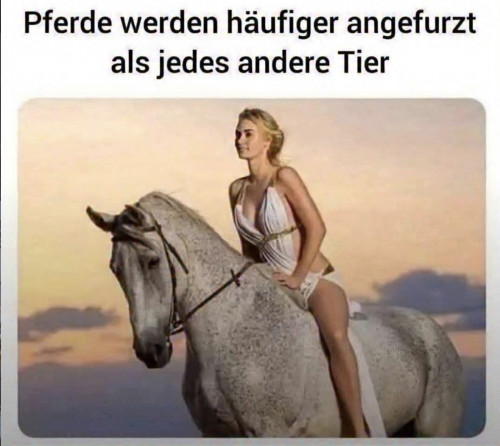 1758891434250.jpeg