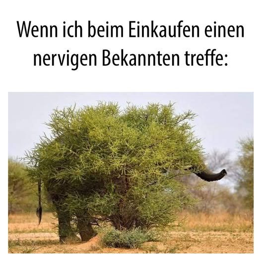 1759064703148.jpeg