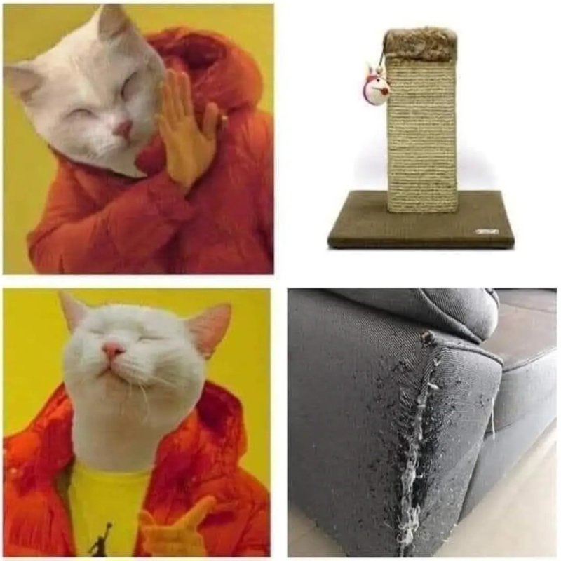 1759065261112.jpeg
