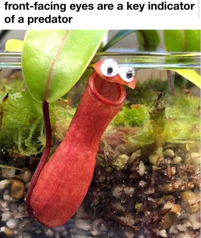 1759354816531.jpeg