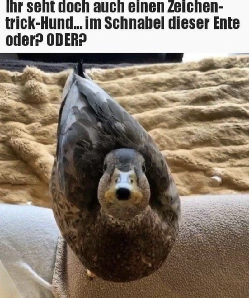1759960256380.png