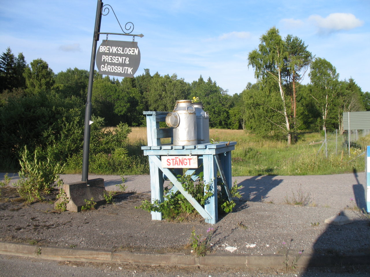 176.JPG
