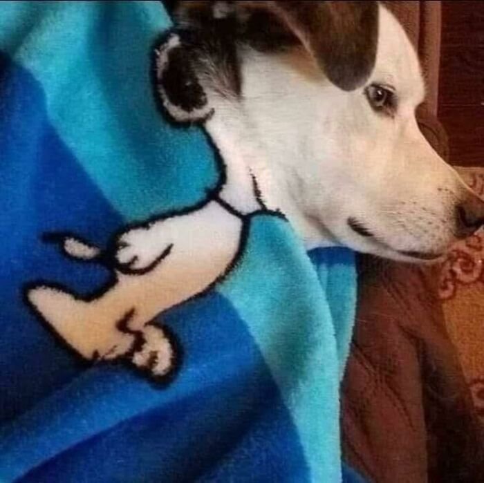 1760049909325.jpeg