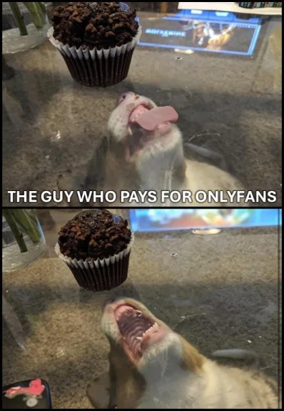 1760311427638.png