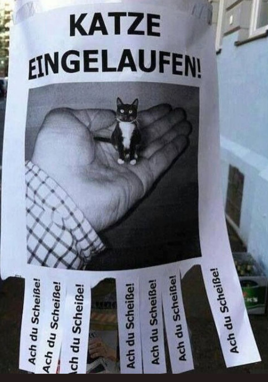 1760354653107.png