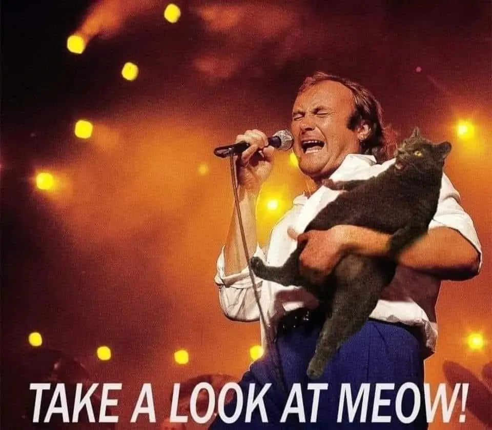 1761090992136.png
