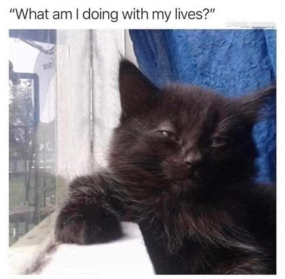 1761177485251.jpeg