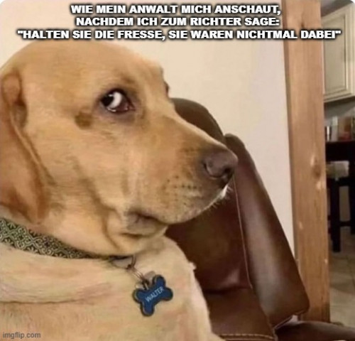 1761315216582.jpeg