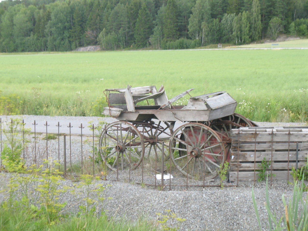 186.JPG