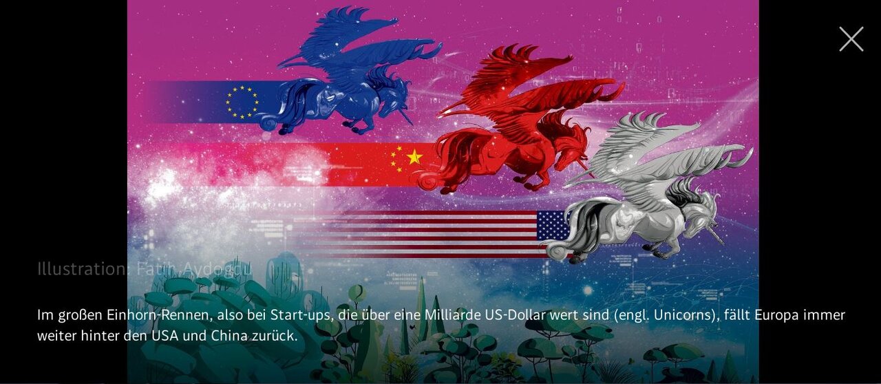 1hornrennen.JPG