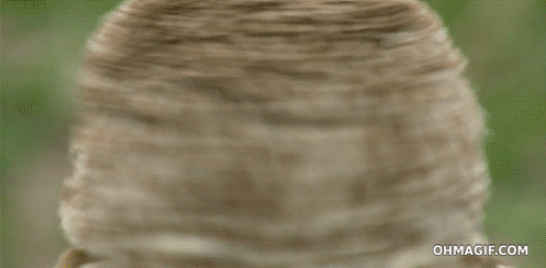 1hWHUCgi3wKT6.gif