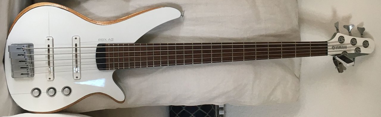 1ibass.jpg
