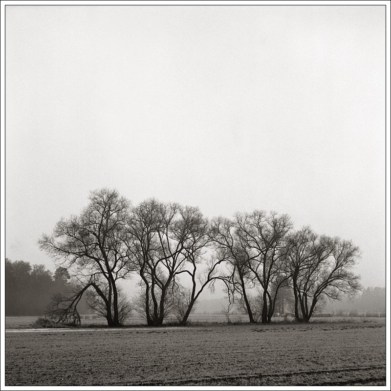 20100219-Im Feld 01.jpg