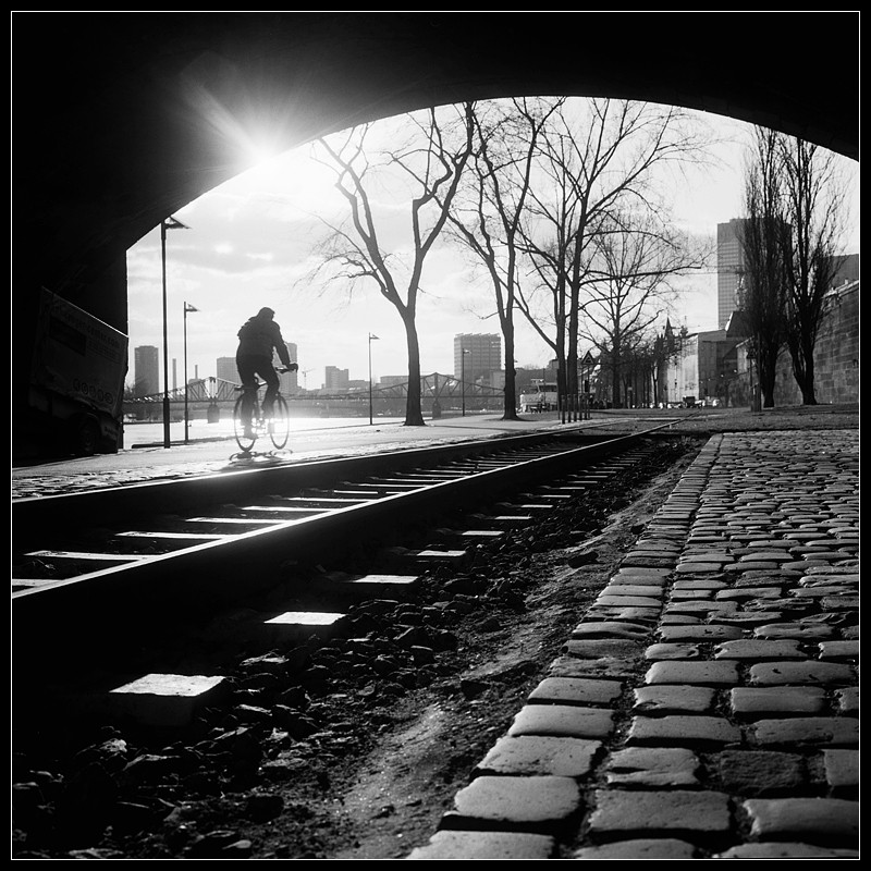 20100308-Radfahrer am Main im Gegenlicht.jpg