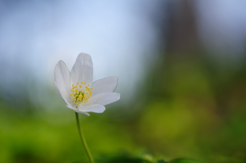 20110409_249.jpg
