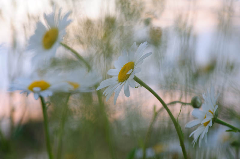 20120602_0017.jpg