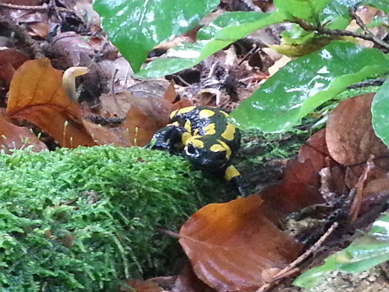 20131006_135017.jpg