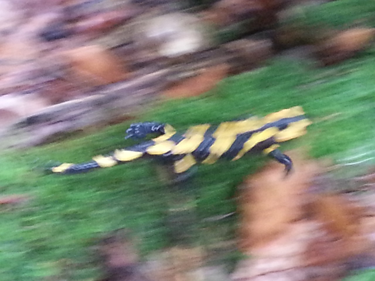 20131006_135052.jpg