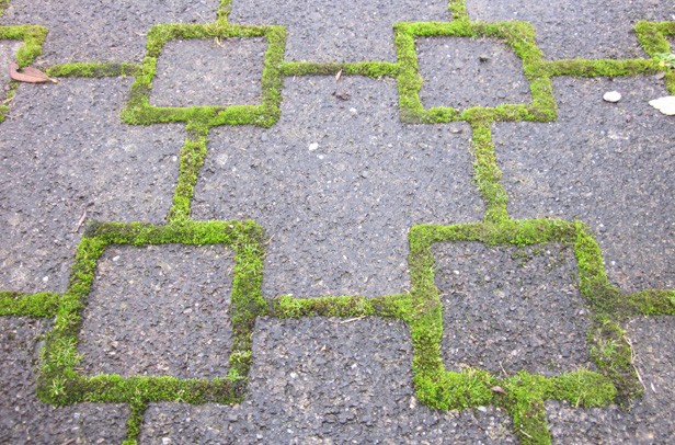 2013_02_Pflasterfuge.JPG