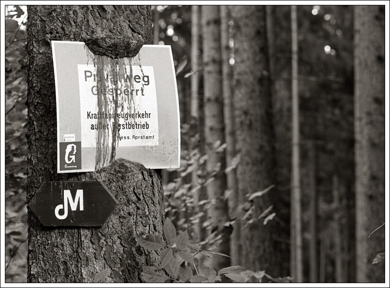 20140804-Privatweg02.jpg