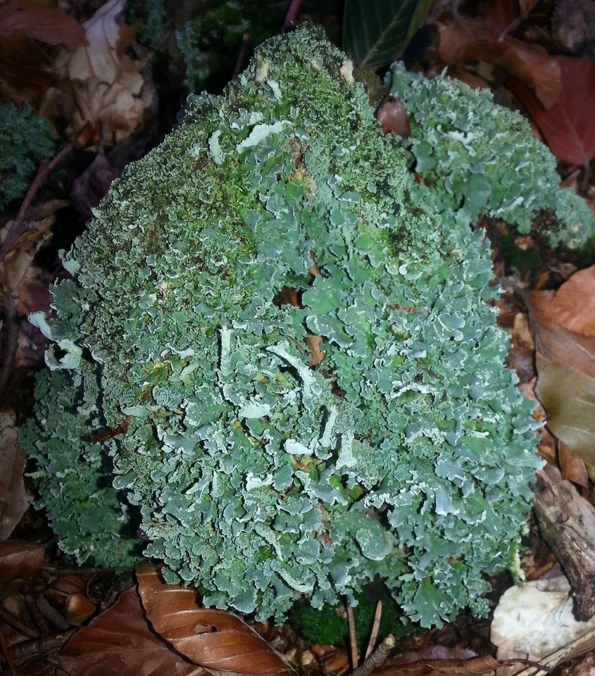 20140914_160251.jpg