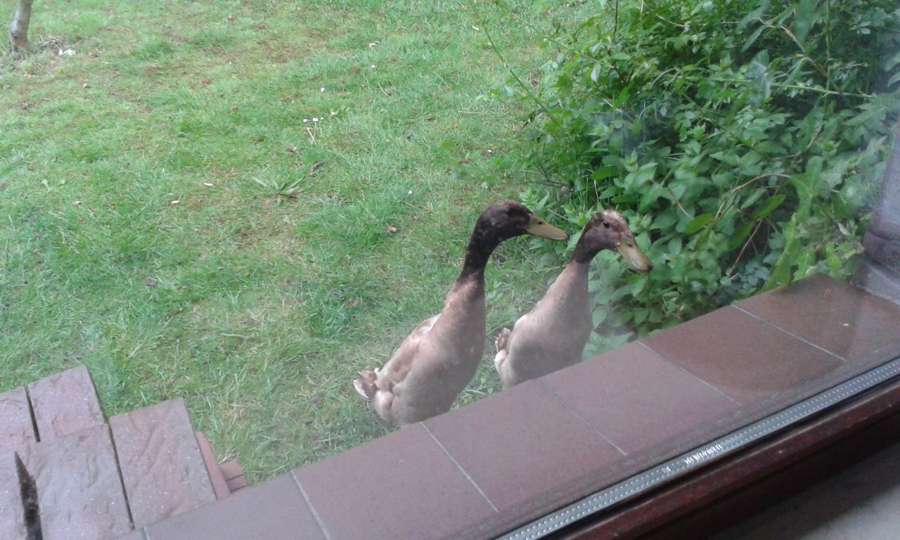 20150602_200914.jpg