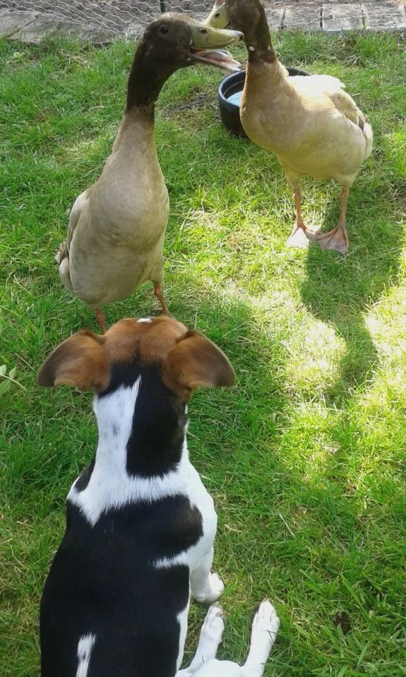 20150610_145821 (2).webp