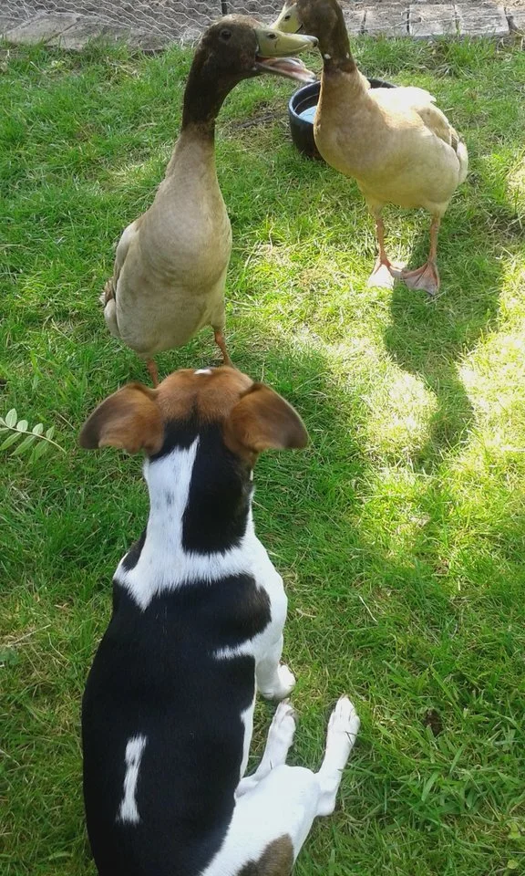 20150610_145821 (4).webp