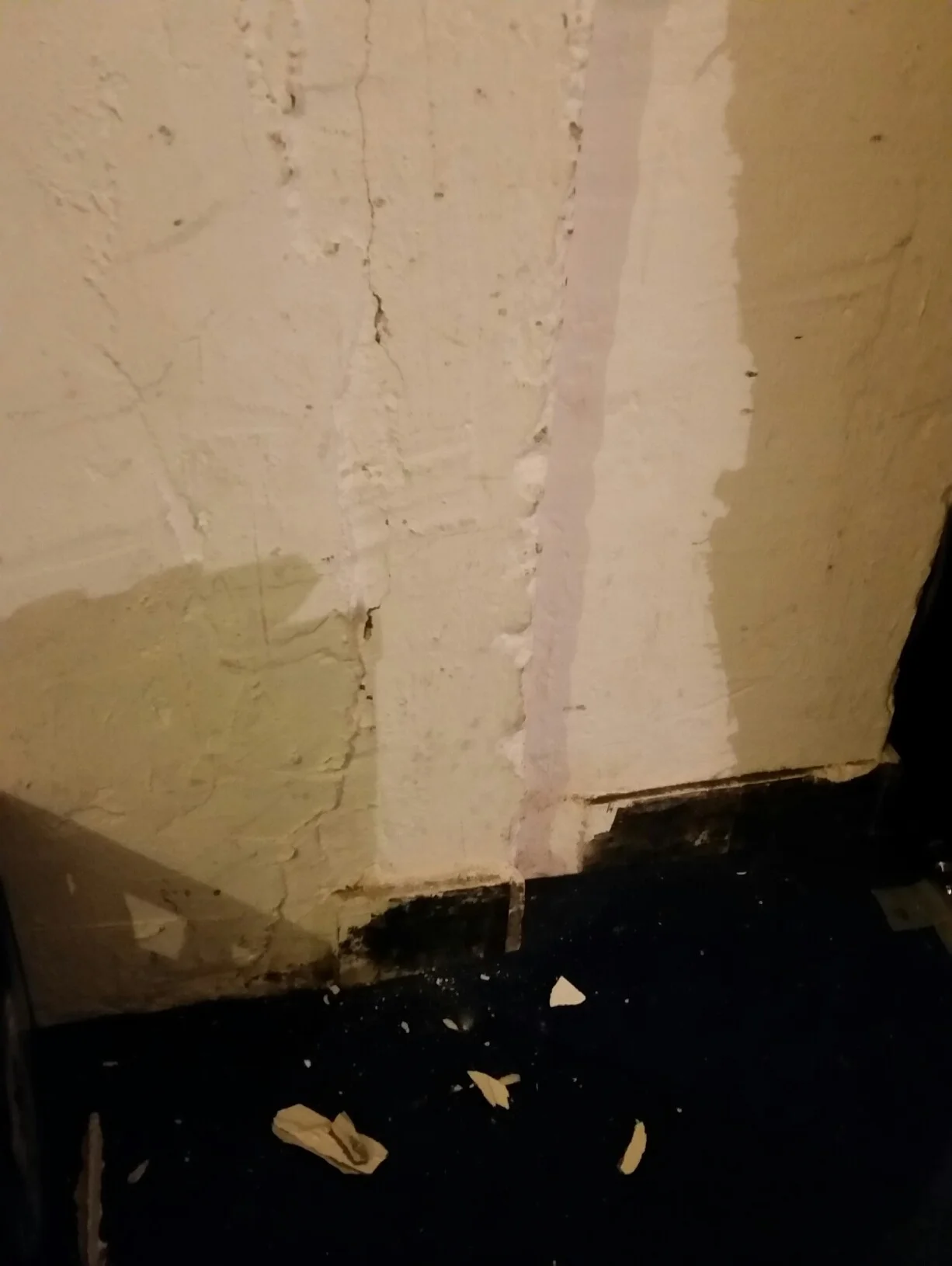 2016-02-22 07.54.19.webp