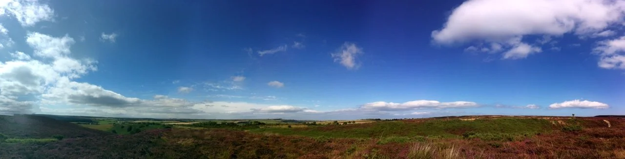 2016-08-12 15.02.38-1.webp