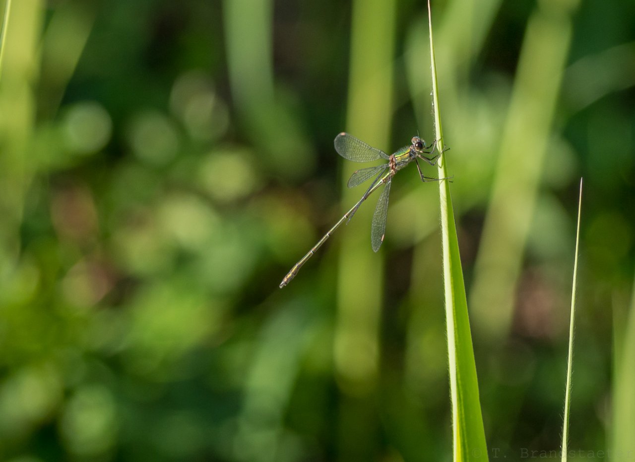 20160910-P9100107.jpg