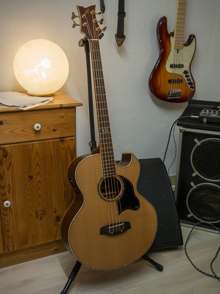 20161125-PB250108.jpg