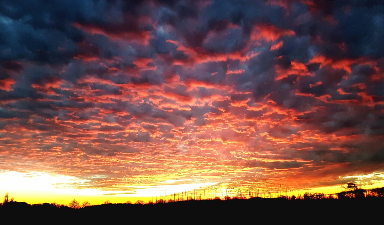 20161208_191020.jpg