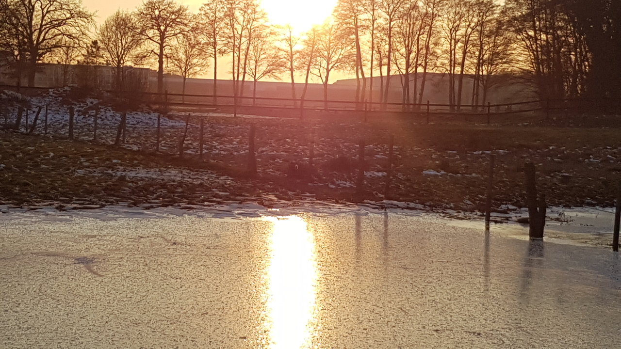 20170122_161853.jpg