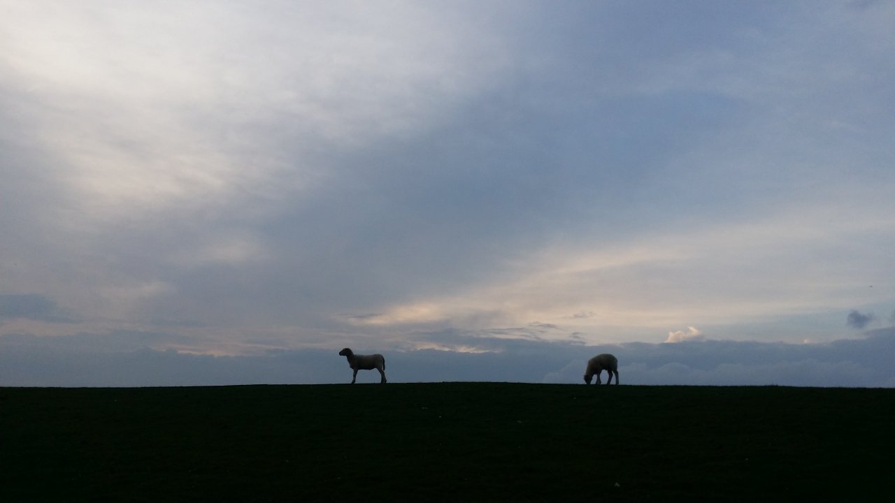 20170512_203515.jpg