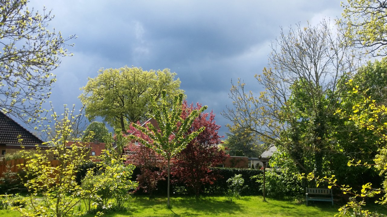 20170513_155155.jpg