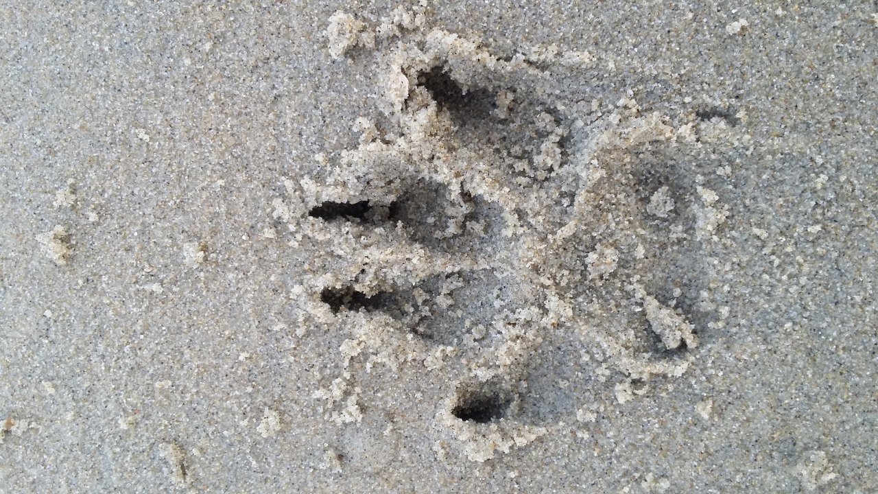 20170625_204201.jpg