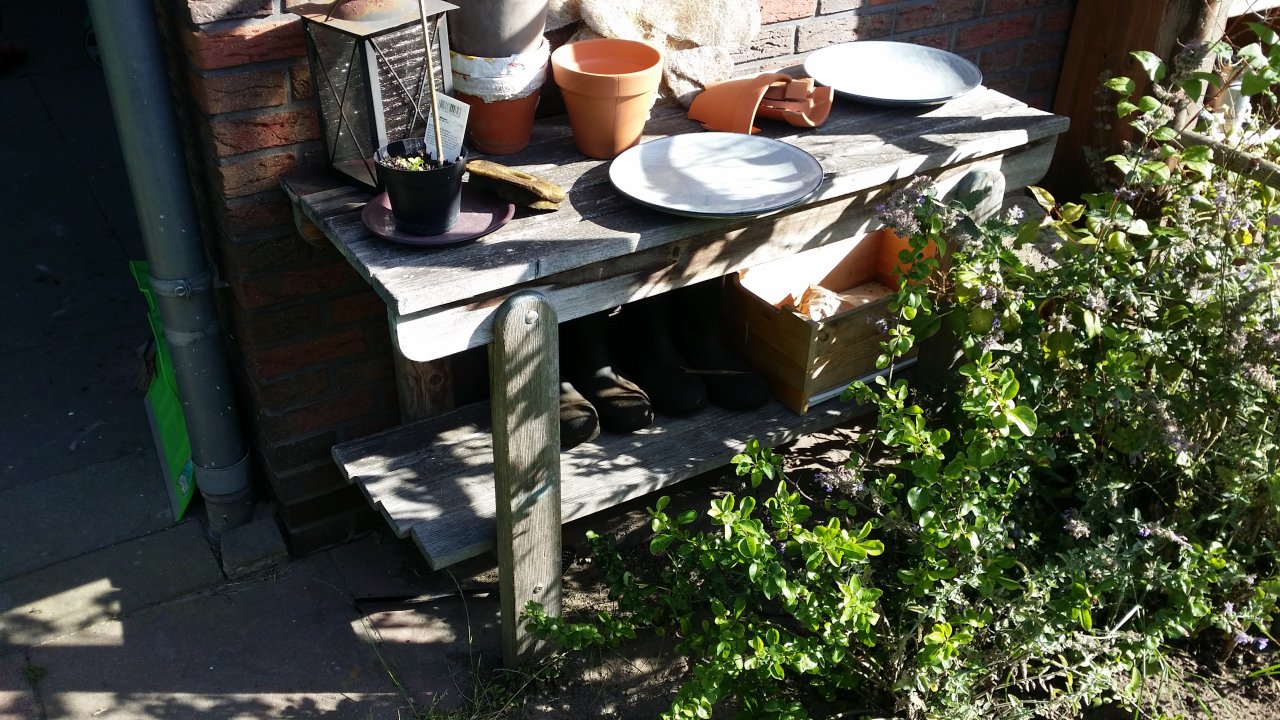 20170706_084715.jpg