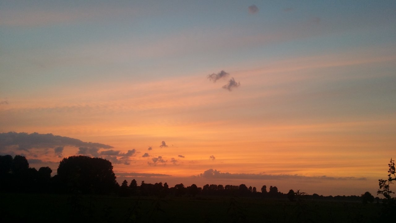 20170731_213454.jpg