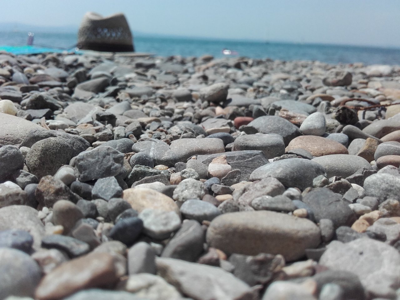 20170801_135514.jpg