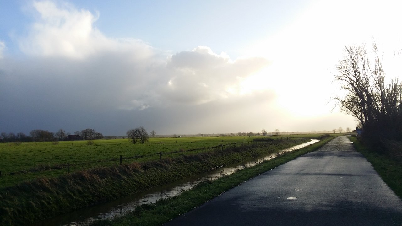 20171119_150222.jpg