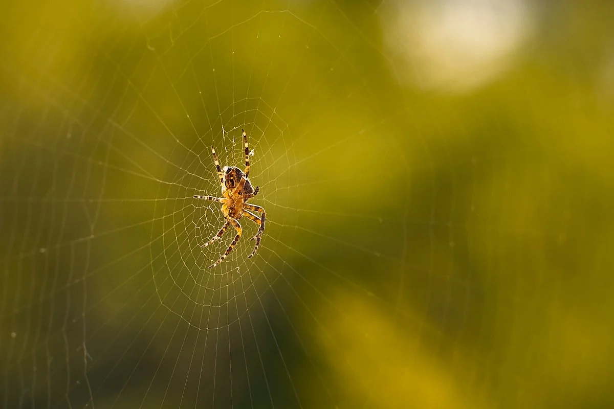 2018-04-19 120.1.webp