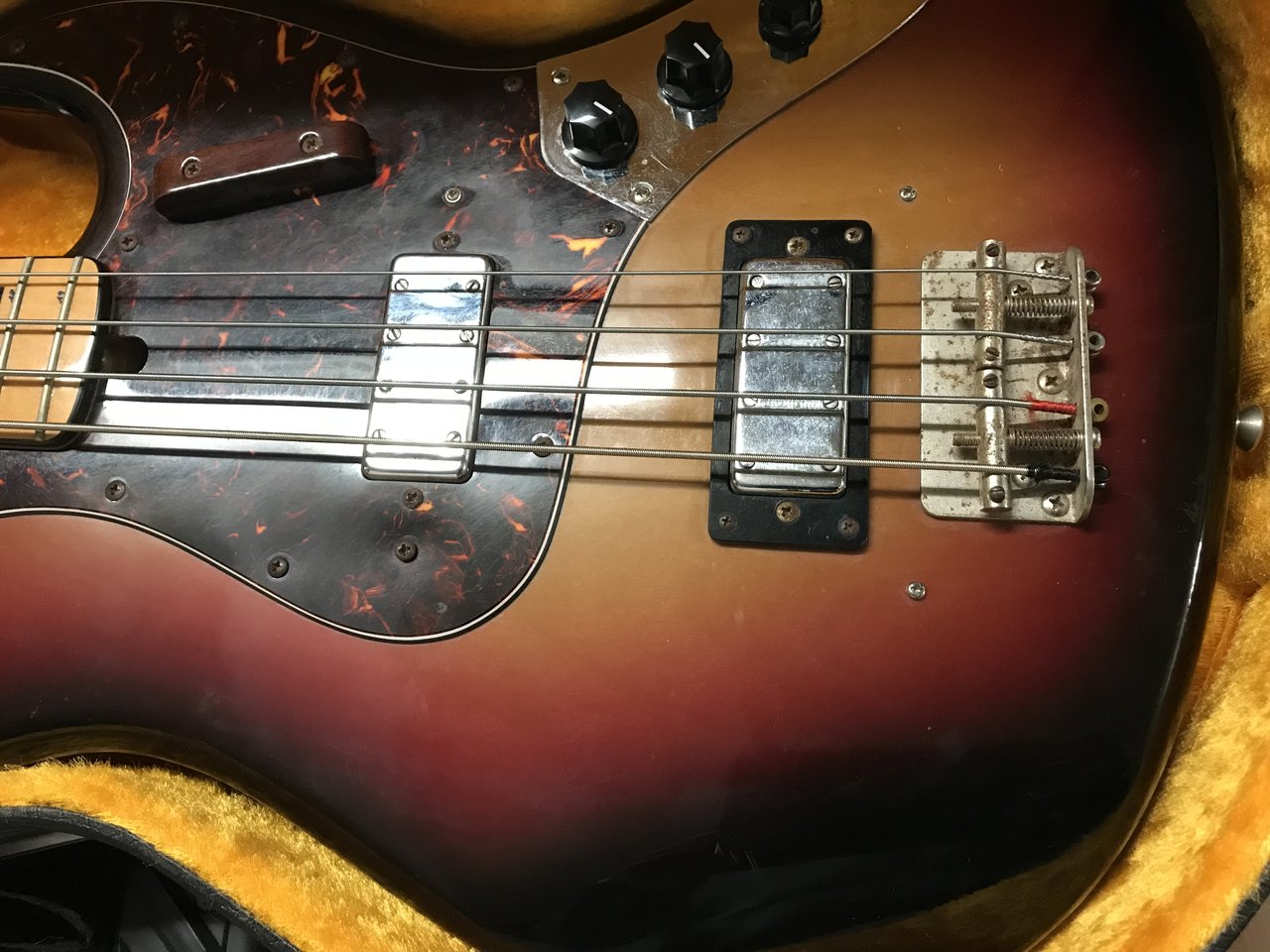 2018-10-30 13.43.22.jpg