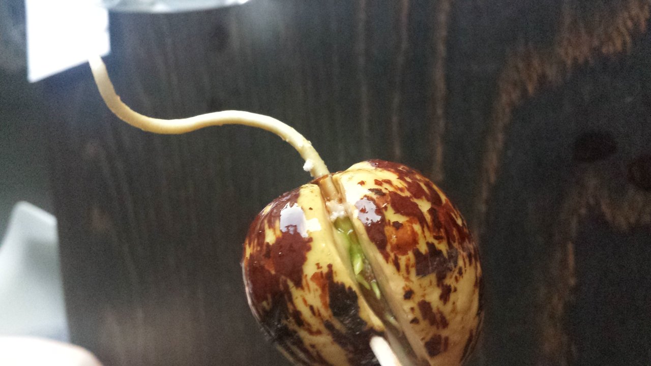 20180507_210305.jpg